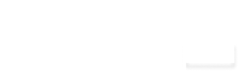 web designer wordpress