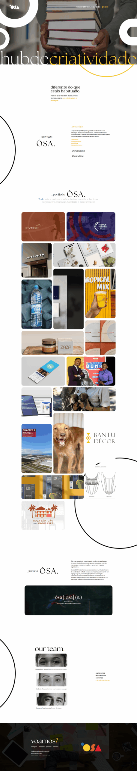 web designer wordpress